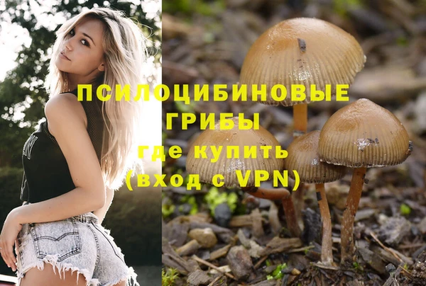 хмурый Белоозёрский