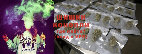 спиды Богданович