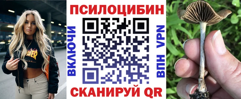 Галлюциногенные грибы прущие грибы  Купить  Новозыбков 