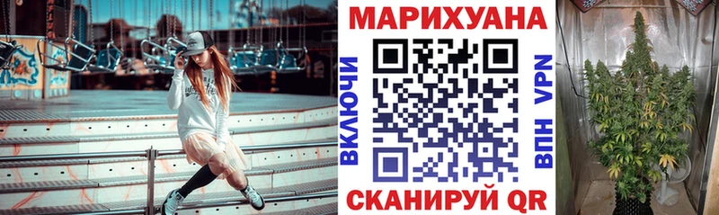 Купить где  Новозыбков  МАРИХУАНА марихуана 